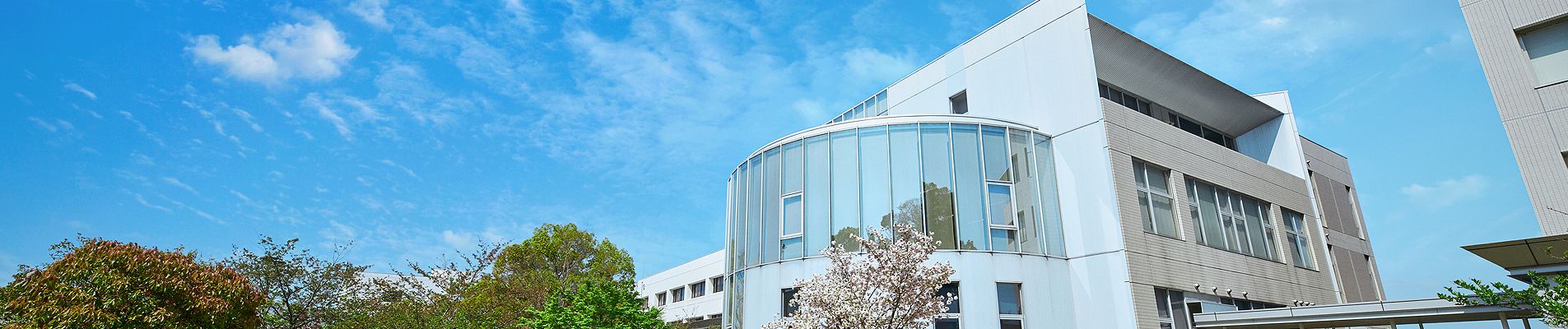 大学背景画像